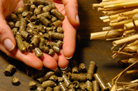 free Readings biomass boiler quotes